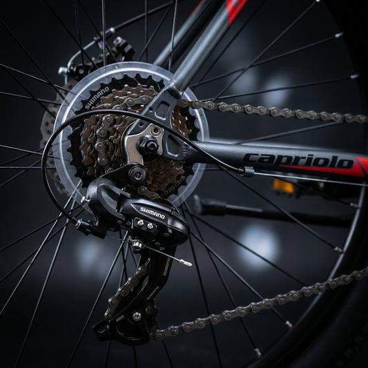 MTB CAPRIOLO OXYGEN 29 29" 2